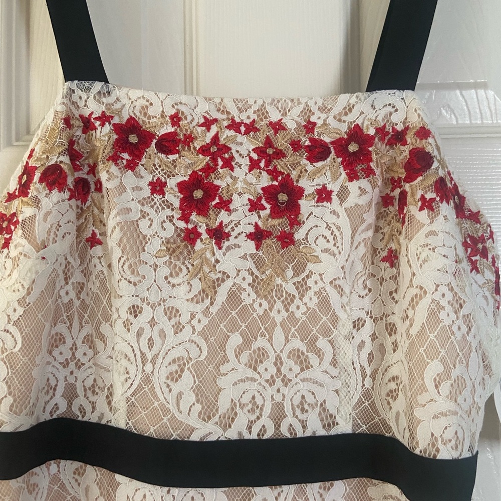 Foxiesox Floral Short Lace Dress with Red and Gold Embroidery. Size small.